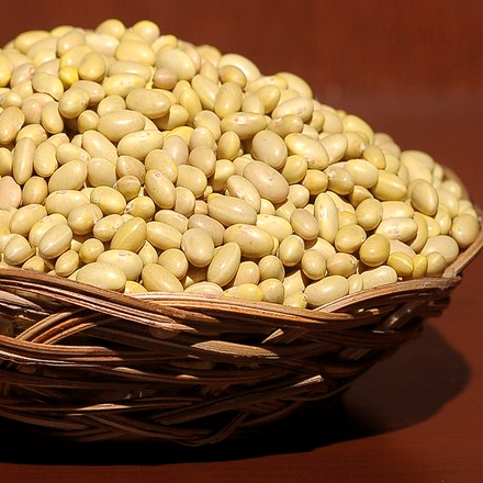 Frijol Azufrado Higuera