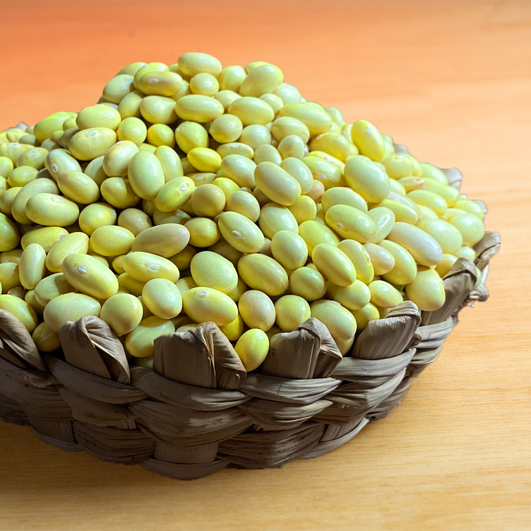 Frijol Azufrado Reyna